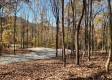 More of Tract 8 – Brady Road on Wayne