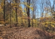 Tract 8 – Brady Road on Wayne property photo