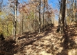 Tract 7 – Brady Road property photo