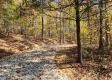 Tract 7 – Brady Road property photo