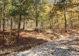 Tract 7 – Brady Road property photo