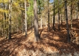 Tract 7 – Brady Road property photo