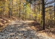 Tract 7 – Brady Road property photo