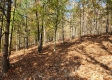 Tract 7 – Brady Road property photo