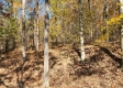 Tract 7 – Brady Road property photo