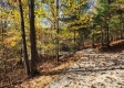 Tract 7 – Brady Road property photo