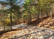 Tract 7 – Brady Road property photo