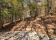 Tract 7 – Brady Road property photo