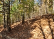 More of Tract 7 – Brady Road