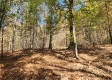 More of Tract 7 – Brady Road
