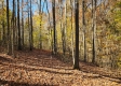 Tract 7 – Brady Road property photo