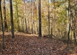 Tract 7 – Brady Road property photo