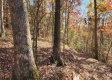 Tract 7 – Brady Road property photo