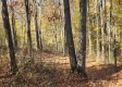 Tract 7 – Brady Road property photo