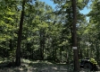 Tract 16 at The Woods on Wayne National Forest property photo