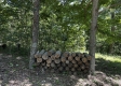 Tract 16 at The Woods on Wayne National Forest property photo