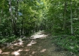 Tract 16 at The Woods on Wayne National Forest property photo