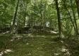 More of Tract 16 at The Woods on Wayne National Forest