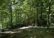 Tract 16 at The Woods on Wayne National Forest property photo