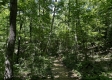 Tract 16 at The Woods on Wayne National Forest property photo