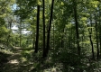 Tract 16 at The Woods on Wayne National Forest property photo