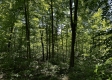 Tract 16 at The Woods on Wayne National Forest property photo