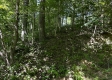 Tract 16 at The Woods on Wayne National Forest property photo