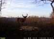 More of Tract 16 at The Woods on Wayne National Forest