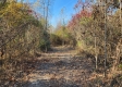 Tract 3 – Brady Road on Monday Creek property photo