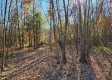 Tract 3 – Brady Road on Monday Creek property photo