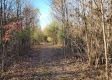 Tract 3 – Brady Road on Monday Creek property photo