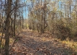 Tract 3 – Brady Road on Monday Creek property photo
