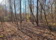 Tract 3 – Brady Road on Monday Creek property photo
