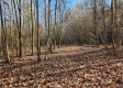 Tract 3 – Brady Road on Monday Creek property photo