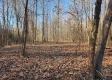Tract 3 – Brady Road on Monday Creek property photo