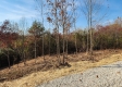 Tract 3 – Brady Road on Monday Creek property photo