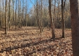More of Tract 3 – Brady Road on Monday Creek
