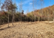 Tract 3 – Brady Road on Monday Creek property photo