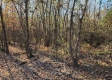 Tract 3 – Brady Road on Monday Creek property photo
