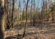 Tract 3 – Brady Road on Monday Creek property photo