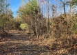 Tract 3 – Brady Road on Monday Creek property photo