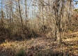 Tract 3 – Brady Road on Monday Creek property photo