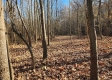 Tract 3 – Brady Road on Monday Creek property photo