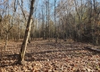 Tract 3 – Brady Road on Monday Creek property photo