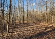 Tract 3 – Brady Road on Monday Creek property photo