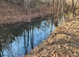 Tract 3 – Brady Road on Monday Creek property photo