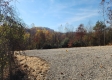 Tract 3 – Brady Road on Monday Creek property photo