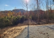 Tract 1 – Brady Road property photo