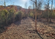 Tract 1 – Brady Road property photo