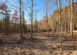 Tract 1 – Brady Road property photo